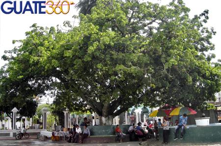La Ceiba, Guatemala, Simbolo patrio