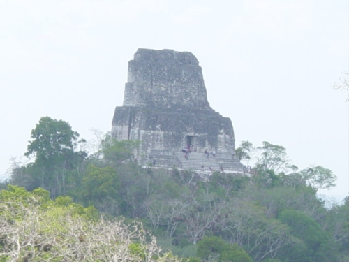 Templo IV de Tikal en Petén