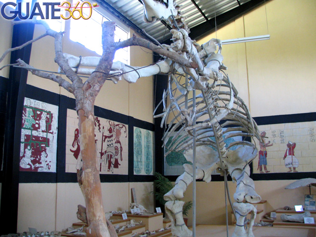 Perezoso gigante en el Museo de Estanzuela en Zacapa