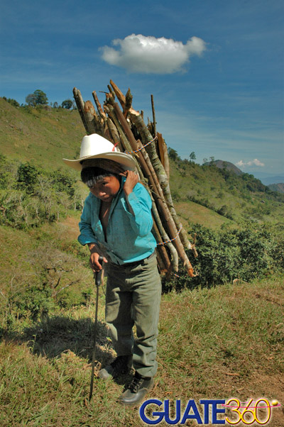 Niño trabajando