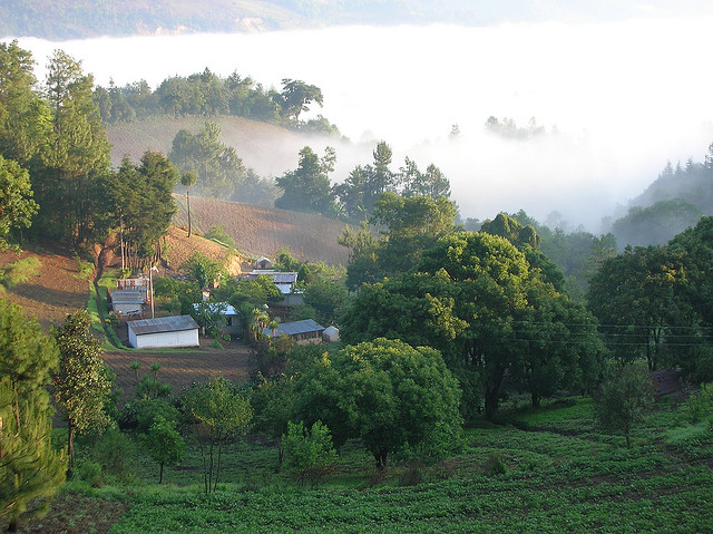 Santa Apolonia sumergida en niebla durante este amanecer en Chimaltenango