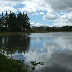 Laguna El Jute