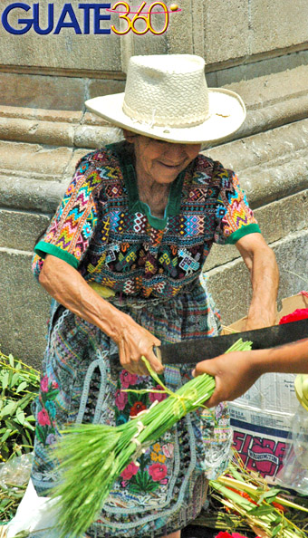 Anciana vendiendo ramitos en un Domingo de Ramos