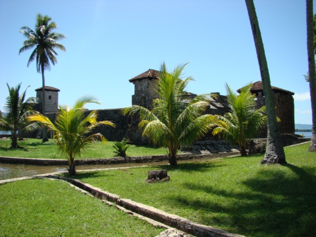 Vegetación que rodea el Castillo de San Felipe