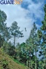 Difrutando del canopy en Cascadas de Tatasirire
