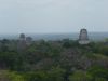 Vista desde el Templo IV de Tikal en Petén