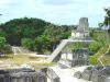 Vista del Templo II de Tikal