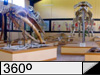 360> Museo Estanzuela