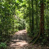 360> Caminando a Laguna de Lachuá por el bosque tropical