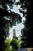 Foto de Tikal y el perfil de El Gran Jaguar entre la selva petenera