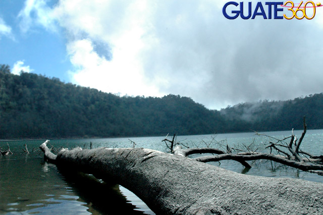 Árboles en Laguna de Chicabal