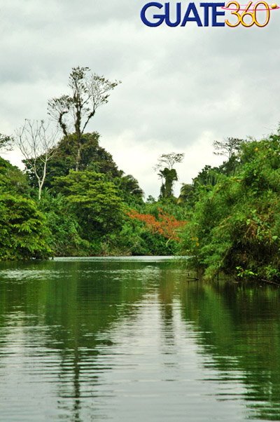 Hermosa combinación de especies vegetales en el Río Sarstún