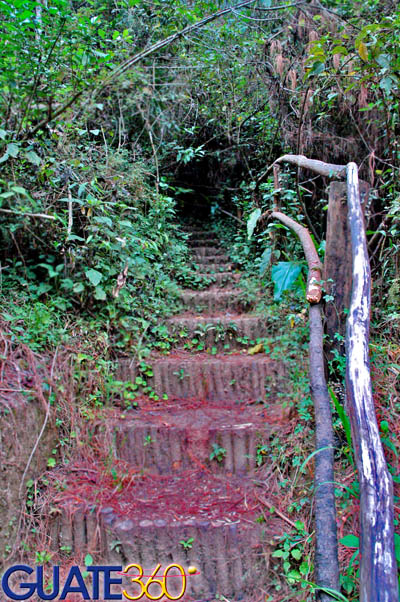 El lugar ideal para hacer caminatas entre la naturaleza