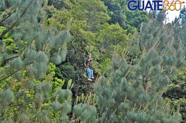 Entre el bosque, el canopy permite apreciar el parque en su totalidad