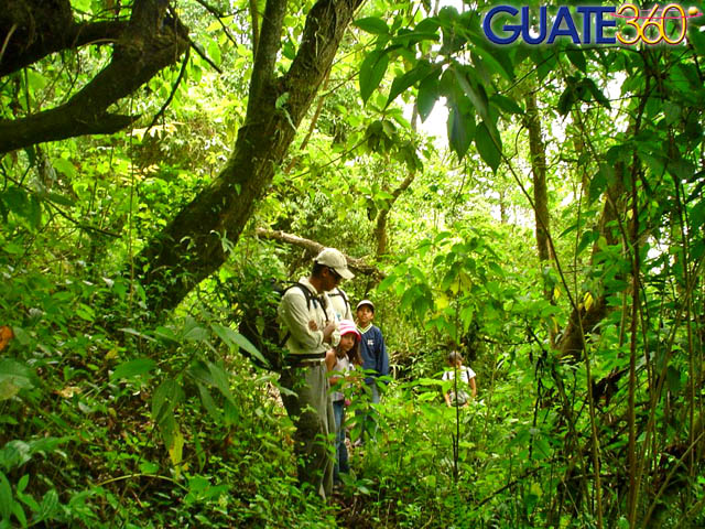Hay coloridas rutas de naturaleza viva