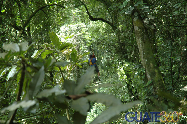 Rodeados de naturaleza