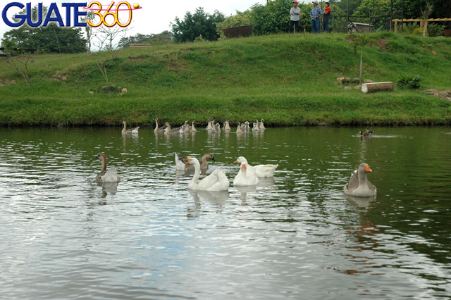 Hermosa laguna para pesca