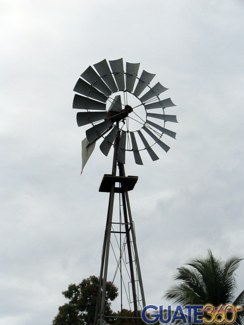 Molino