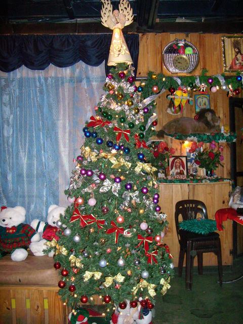Nacimiento Fam. Osegueda Zepeda 2007