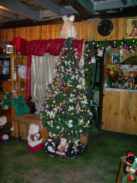 ARBOL FAM. OSEGUEDA 2006