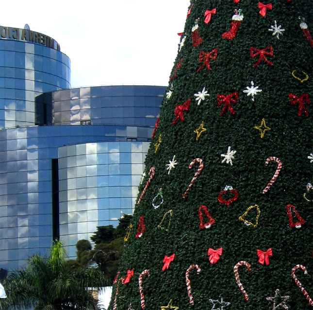 El Arbol Gallo en la Ciudad de Guatemala para Navidad
