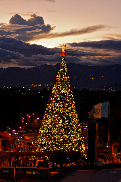 El arbol gallo, la Navidad en Guatemala y nuestra bandera