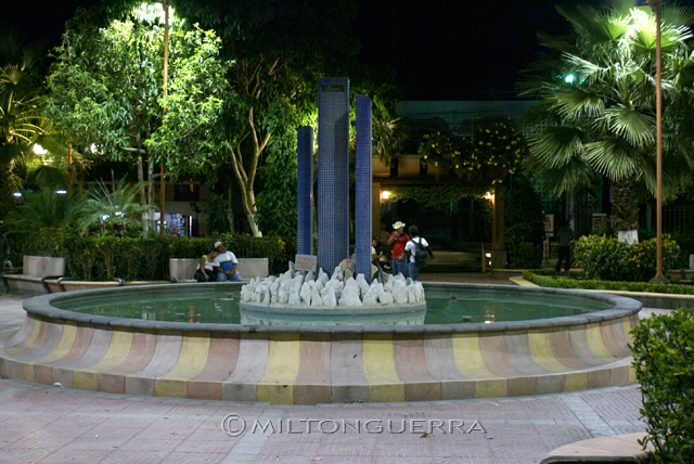 Fuente en Parque