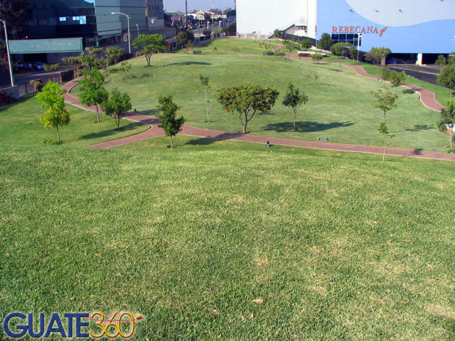 Jardines y árboles