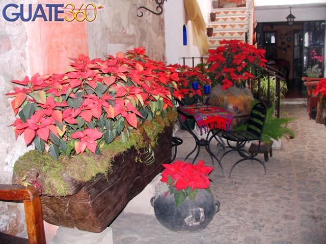 Pascuas