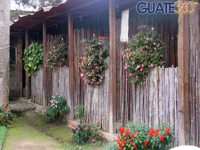 Área de estudios