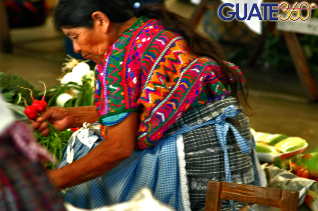 Mercado de San Lucas