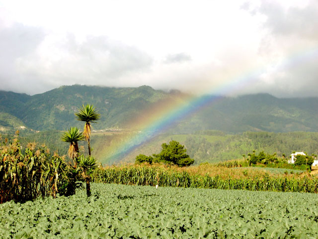 Arcoiris en siembras...Solola