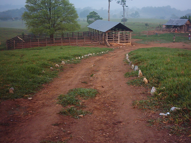 Camino