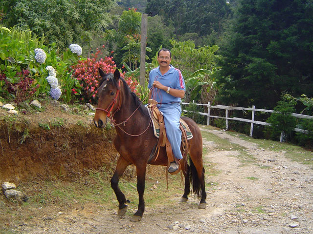 Paseo a caballo