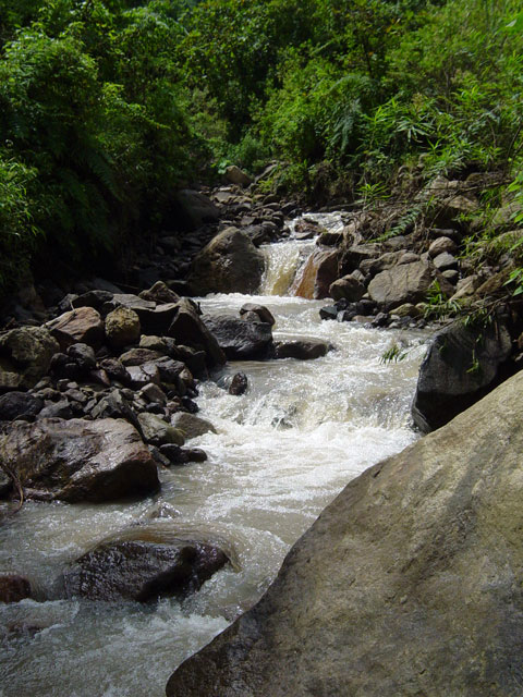 Rio