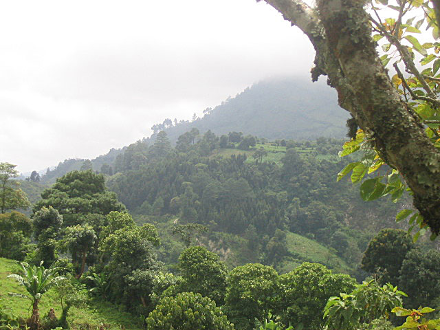 Vista de los alrededores