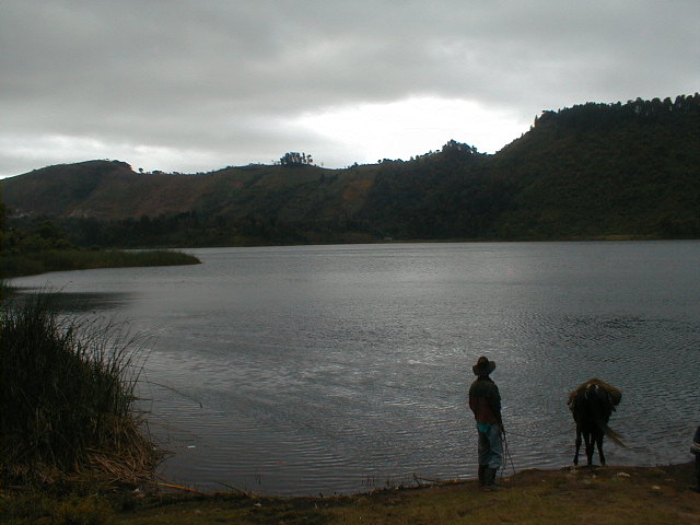 Desde la orilla