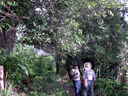 CAMPESINOS EN INICIO DE JORNADA LABORAL