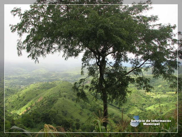 Naturaleza de El Adelanto