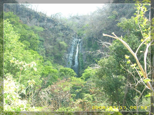 Naturaleza de Zapotitlán