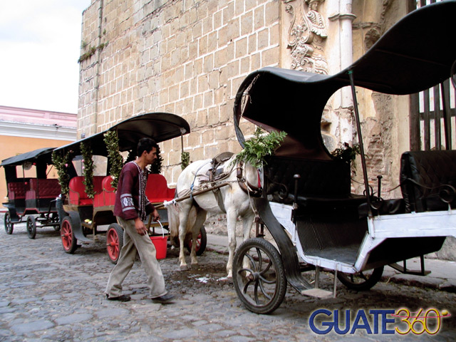 Carruaje