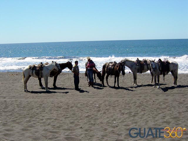 Caballos en la playa