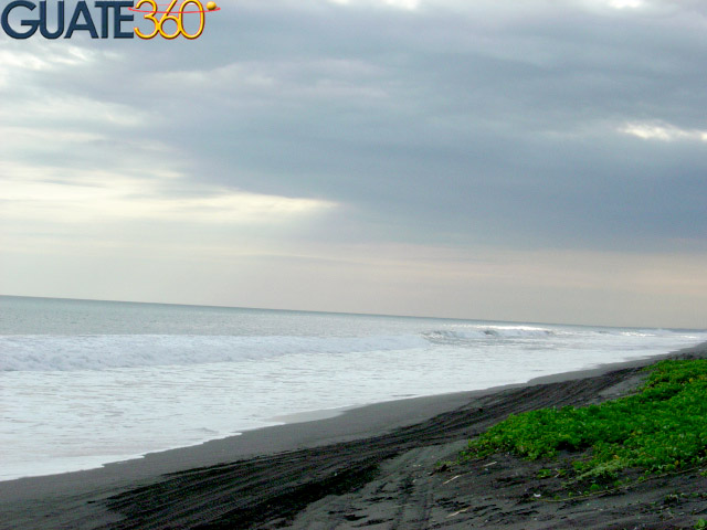 Playa de Monterrico