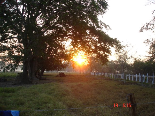 Amanecer en la costa