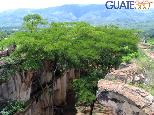 Árboles