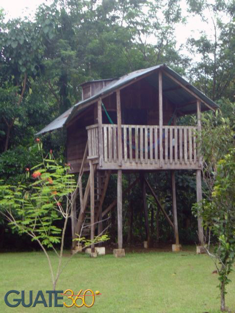 Casa de arbol