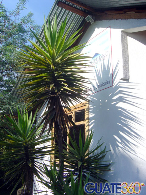 San Pedro Spanish School
