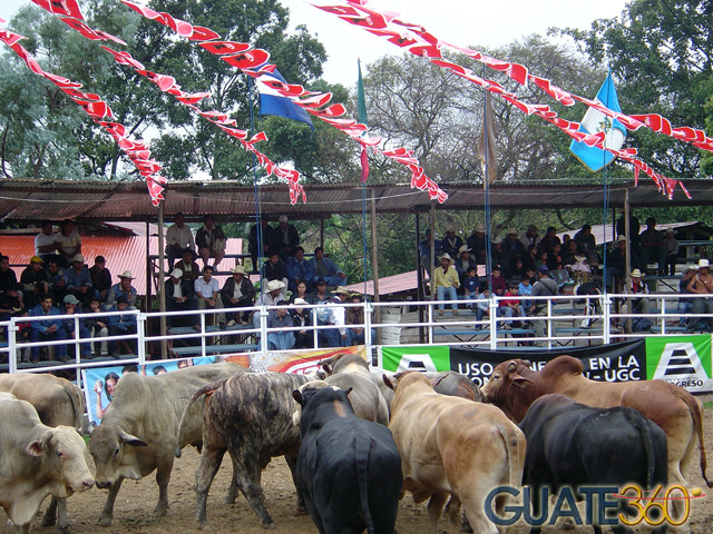 Rodeo en Tecpán