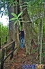 Disfrutando de la caprichosa naturaleza durante una caminata