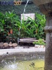 Fuente